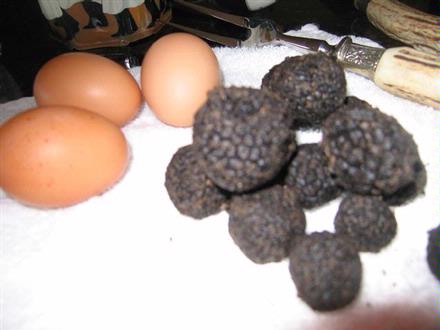 truffles and eggs